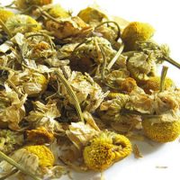 chamomile-tea-egyptian-z01